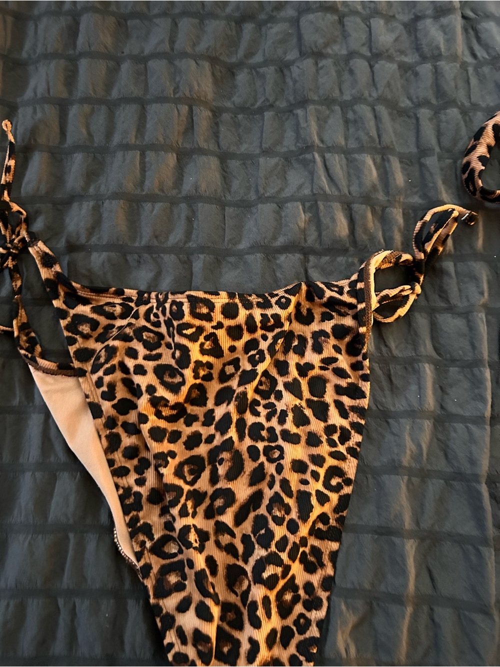 Leopard Bikini - Picture 5 of 5